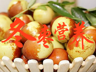 冬枣高产营养解决方案